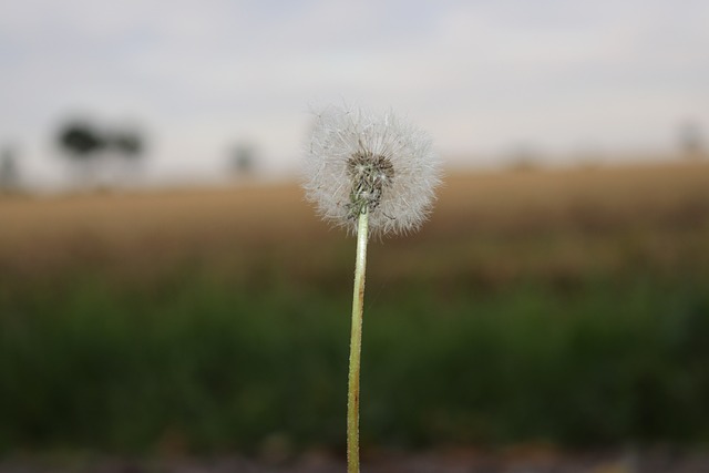 Foto do arquivo: fornecida por 【brl bet】