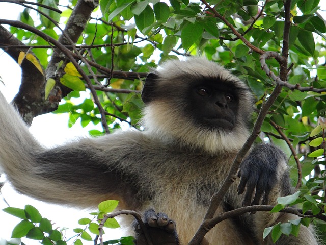 Foto do arquivo: fornecida por 【Resultado da sorte do bicho】