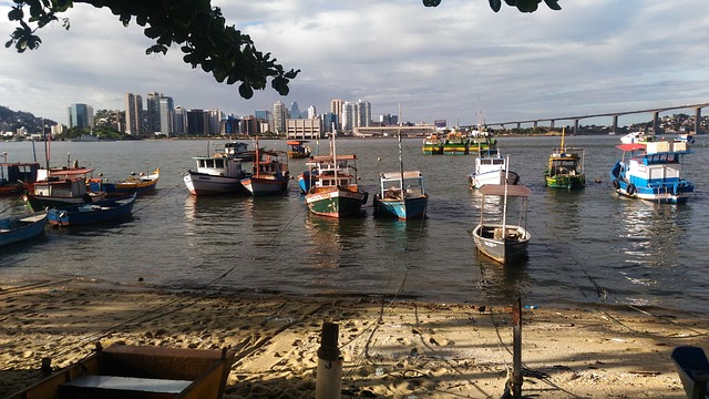 jogo do bicho por banca