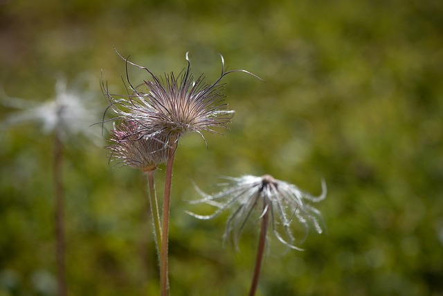 Foto do arquivo: fornecida por 【lucky time】