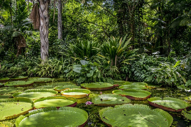 Plataforma inovadora de cassino oferecendo recompensa pelo cadastro