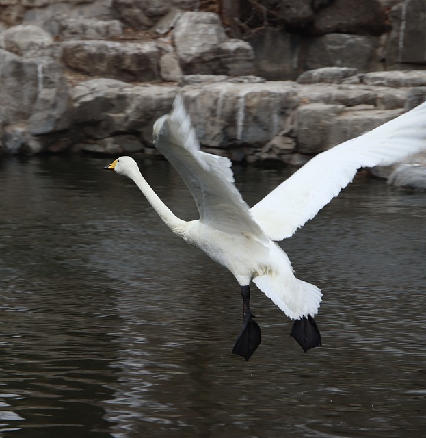 Foto do arquivo: fornecida por 【fairspin】