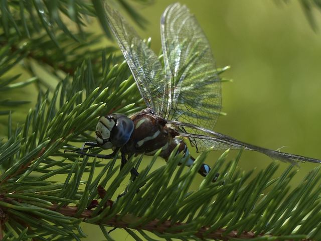 Foto do arquivo: fornecida por 【lvb777】