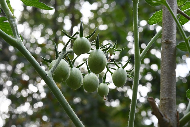 Foto do arquivo: fornecida por 【Plataforma nova com dinheiro】