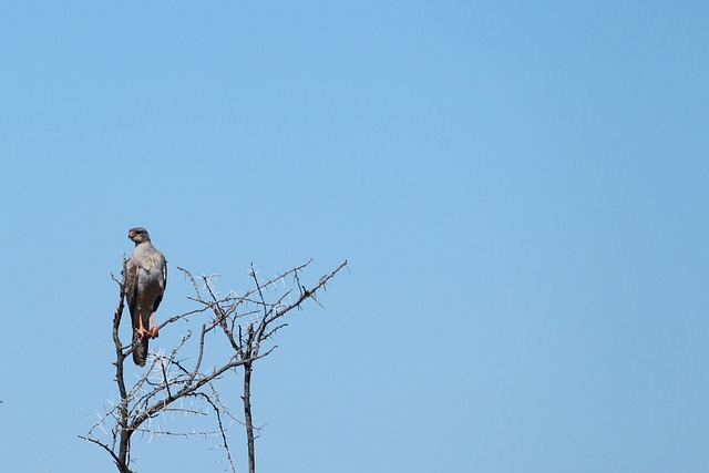 Foto do arquivo: fornecida por 【o resultado do sorteio da lotofácil de hoje】