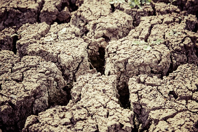 Foto do arquivo: fornecida por 【Resultado de hoje do bicho paulista】