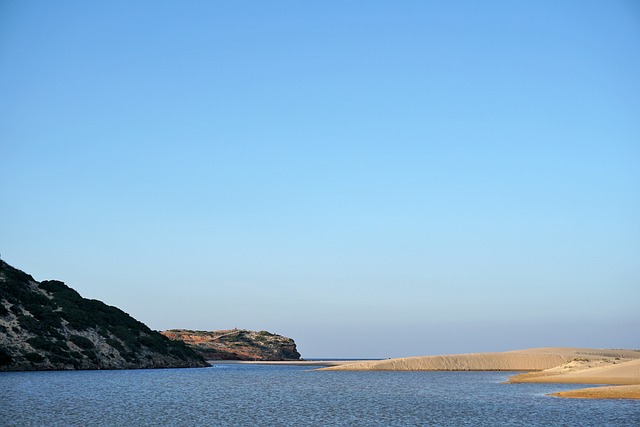 milionário de hoje