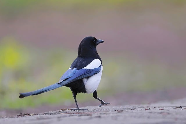 Foto do arquivo: fornecida por 【plataforma que da bônus no cadastro sem depósito】