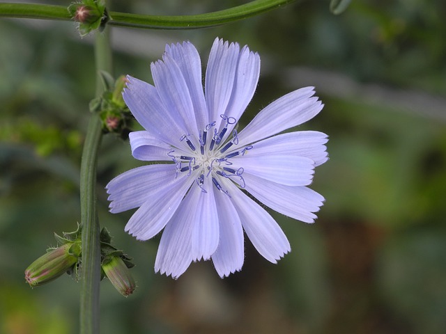 joguinhos de cassino