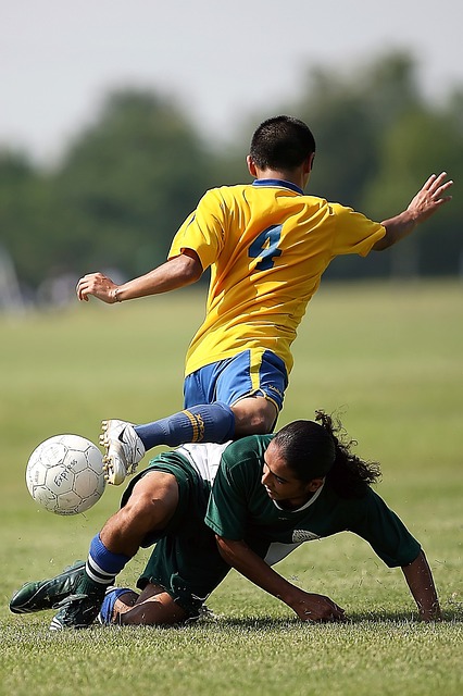 resultado jogo do bicho da federal de sábado