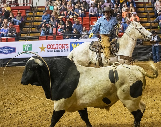 resultado do jogo do palmeirense de hoje à noite