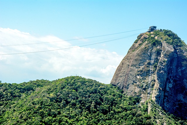 esporte cassino