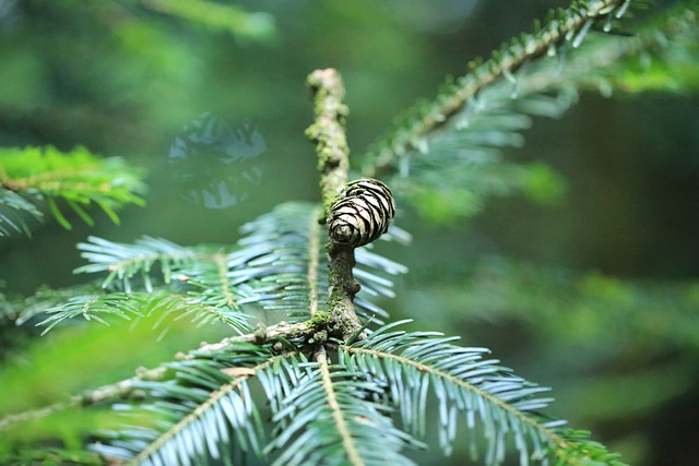 Foto do arquivo: fornecida por 【resultado da mega sena do dia 04 de novembro】