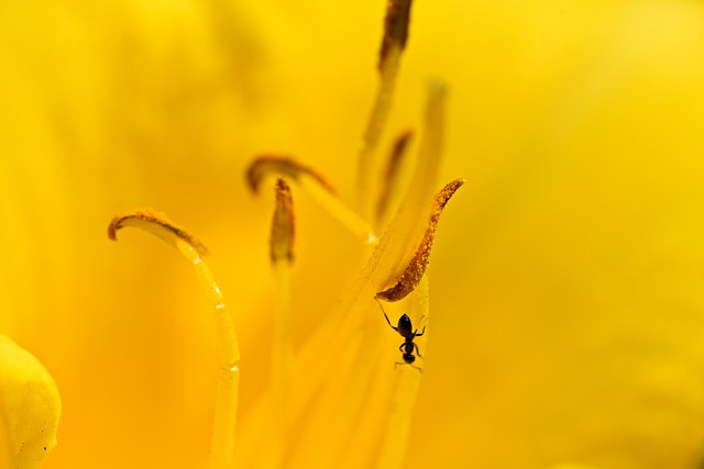 Foto do arquivo: fornecida por 【kto login entrar】