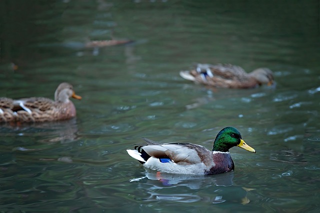 Foto do arquivo: fornecida por 【resultado da lotofácil dia 2 de setembro】