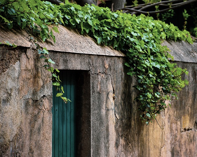 casas de aposta chinesa,casas aposta chinesa