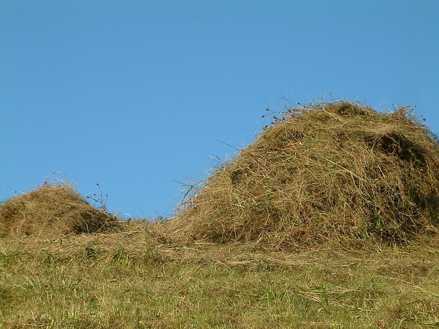 Foto do arquivo: fornecida por 【a mega sena de sábado agora】