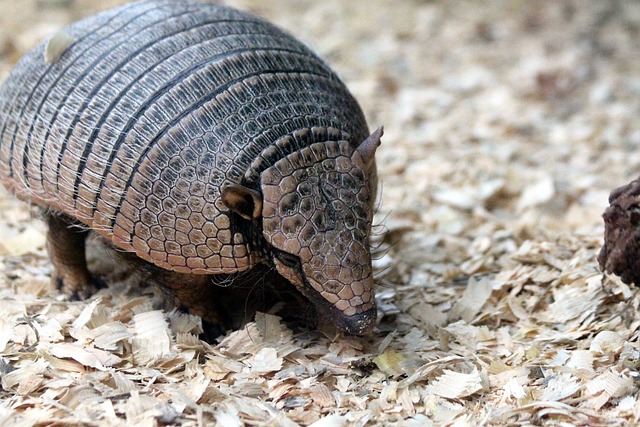 Foto do arquivo: fornecida por 【sorteio do bolão da quina de hoje】