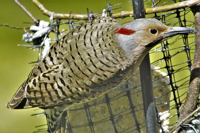 Foto do arquivo: fornecida por 【kto】