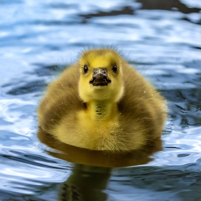 Foto do arquivo: fornecida por 【luckiest time to buy a lottery ticket】