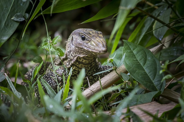 Foto do arquivo: fornecida por 【loteria dos sonhos do ceará resultado de hoje】