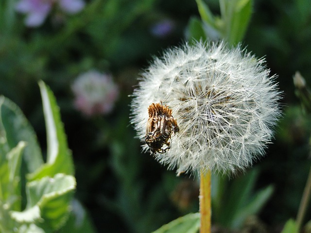 Foto do arquivo: fornecida por 【Resultado da Lotofácil do sorteio】