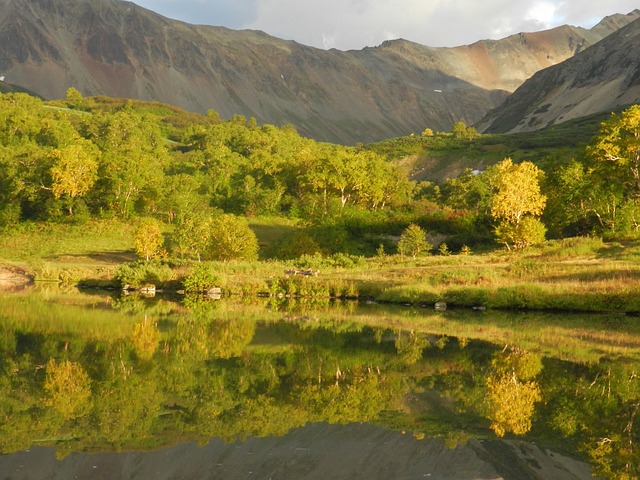 oasis at gold spike