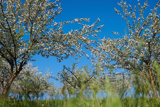 Foto do arquivo: fornecida por 【Ícone da máquina de fenda】