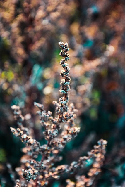 Foto do arquivo: fornecida por 【brabet bônus de cadastro】