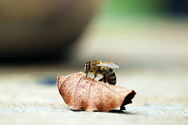 Foto do arquivo: fornecida por 【vou fazer um bingo da minha sogra】