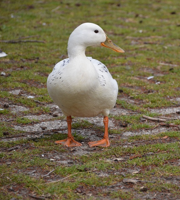 Foto do arquivo: fornecida por 【bro225】