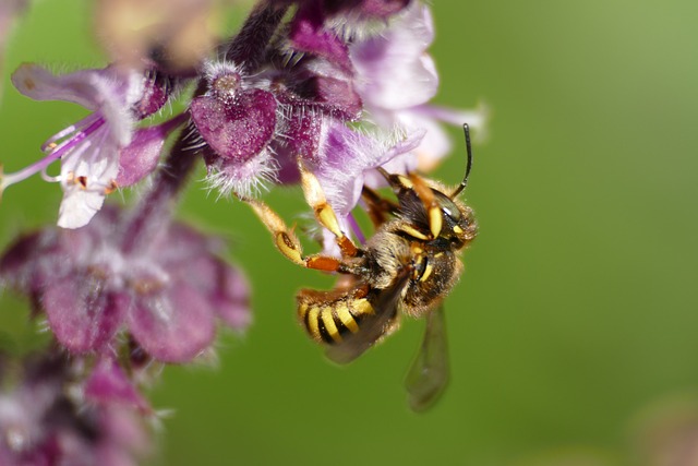 Foto do arquivo: fornecida por 【loteria caixa apostar online】