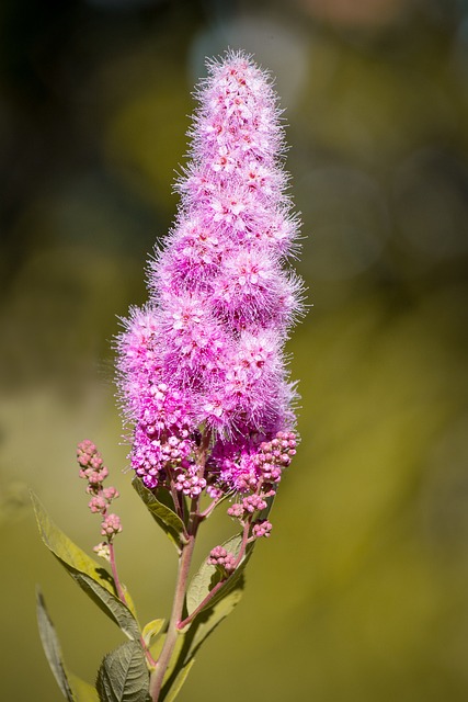 Foto do arquivo: fornecida por 【resultado da lotofácil do último sorteio】