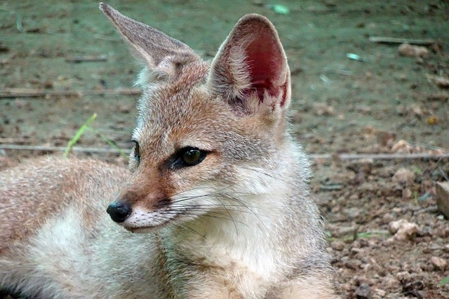 Foto do arquivo: fornecida por 【resultado da mega sena de ontem da quina】