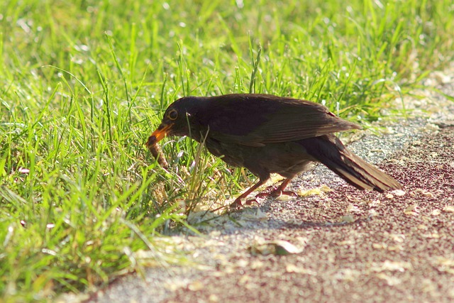 Foto do arquivo: fornecida por 【resultado quina 3335】