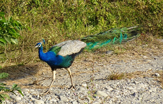 Foto do arquivo: fornecida por 【sonhar com altura jogo do bicho】