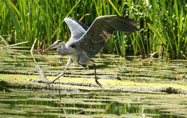 Foto do arquivo: fornecida por 【www resultado da mega sena de hoje】