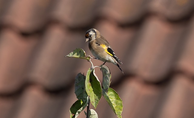 Foto do arquivo: fornecida por 【resultado da mega sena 1809】