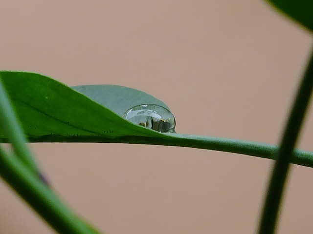 Foto do arquivo: fornecida por 【fortuna adiuvat fortes】