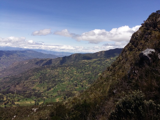 Foto do arquivo: fornecida por 【padaria pao da praia cassino】