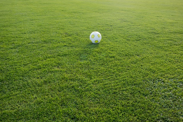 trevo da sorte de hoje jogo do bicho bahia