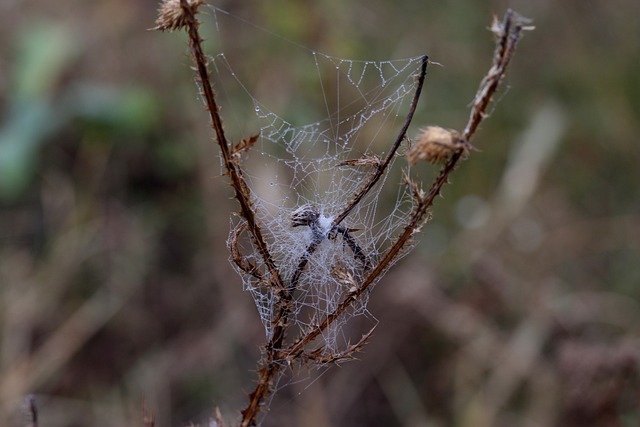 Foto do arquivo: fornecida por 【resultado da lotofácil de hoje no giga sena】