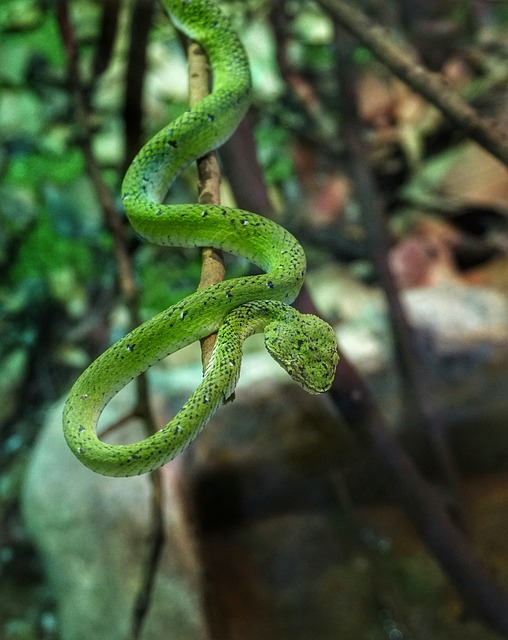 Foto do arquivo: fornecida por 【lotofácil 1560】