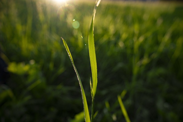 Foto do arquivo: fornecida por 【bingo website uk】