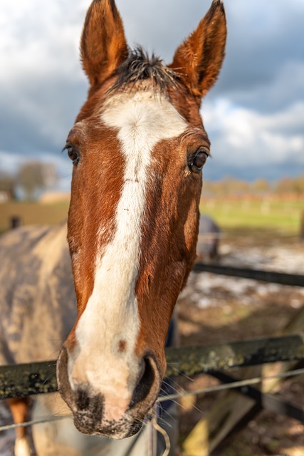 Foto do arquivo: fornecida por 【cash out blaze como funciona】