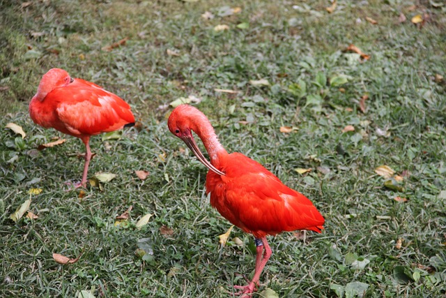 Foto do arquivo: fornecida por 【montar bolão mega sena】