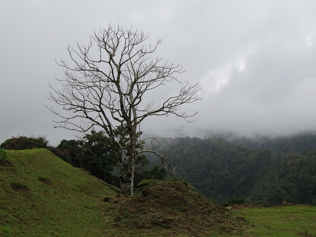 Foto do arquivo: fornecida por 【1slot ph】