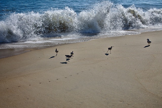 Foto do arquivo: fornecida por 【playa cassino brasil alojamiento】