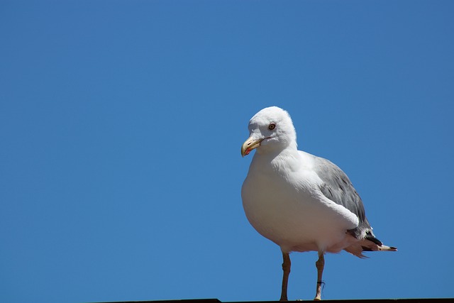 Empréstimo via pix para quem está com nome negativado