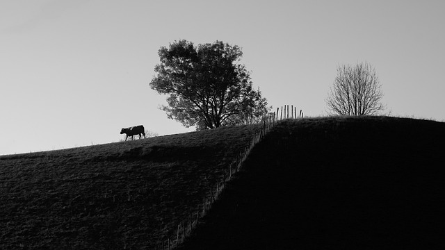 uma ranhura de açúcar